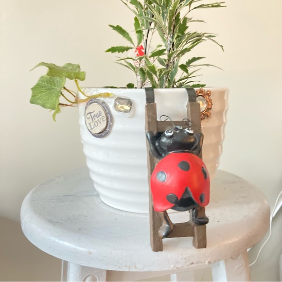 Flower pot hugger ladybug - Picture 6 of 11